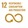Icon for UN Sustainable Development Goal 12 – Responsible Consumption.